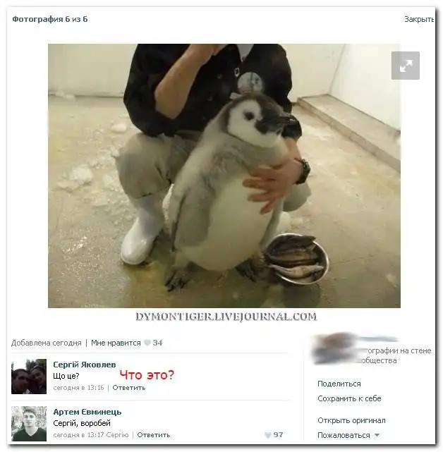 Смешные комментарии из социальных сетей