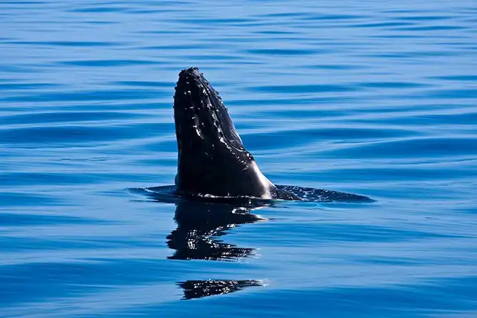 Самый большой в мире песчаный остров