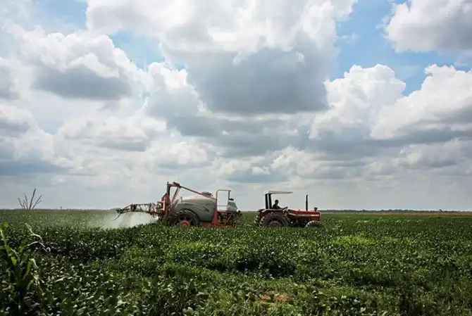 Путешествие в поселок русских старообрядцев в Боливии