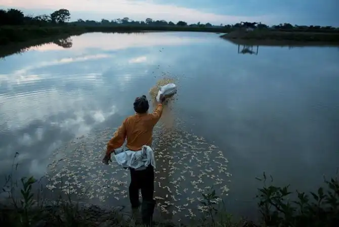 Путешествие в поселок русских старообрядцев в Боливии