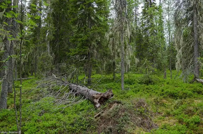 Путешествие по месту, далекому от городской суеты