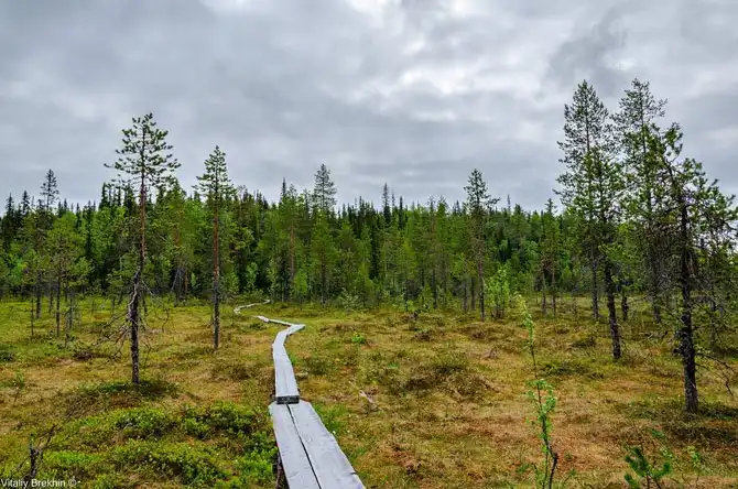 Путешествие по месту, далекому от городской суеты