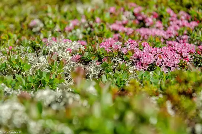 Путешествие по месту, далекому от городской суеты