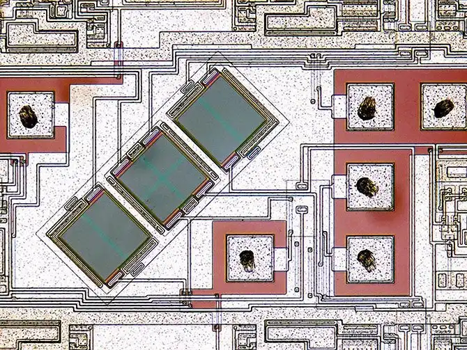 20 фотографий победителей Nikon Small World Photomicrography Competition