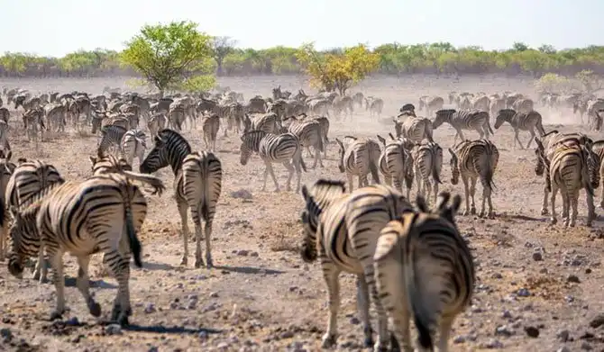 Путешествие по Намибии