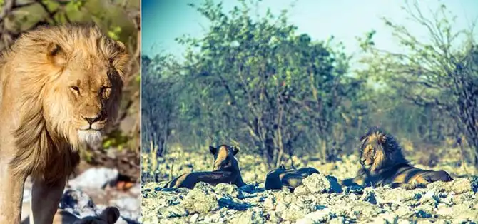 Путешествие по Намибии