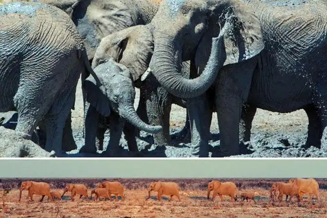 Путешествие по Намибии