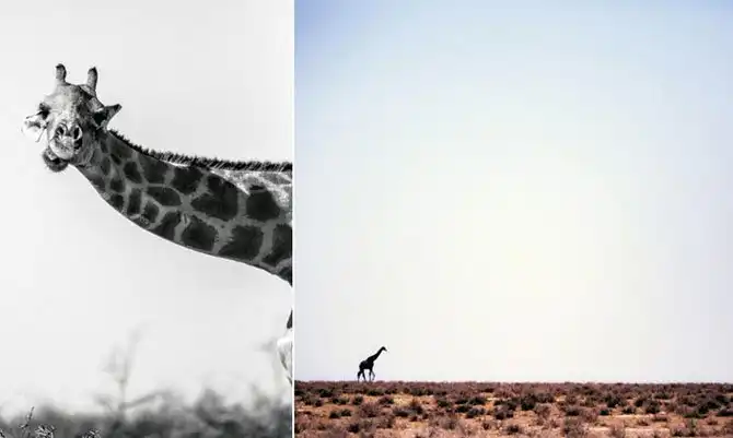 Путешествие по Намибии