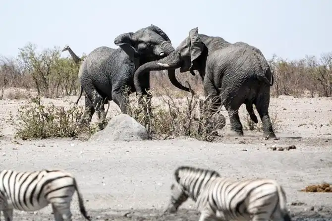Путешествие по Намибии