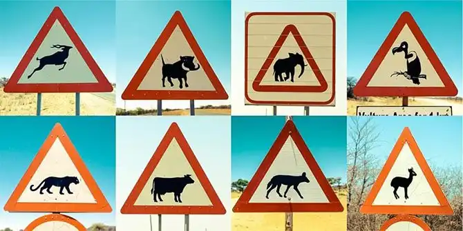 Путешествие по Намибии