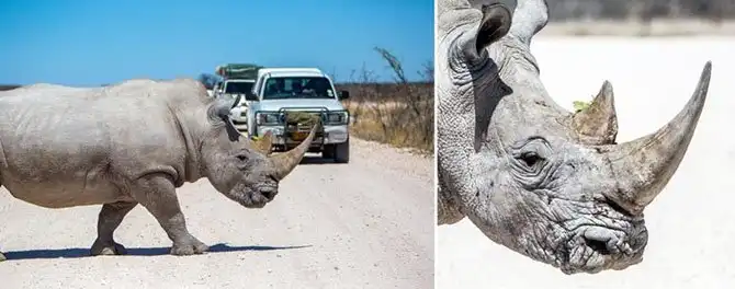 Путешествие по Намибии