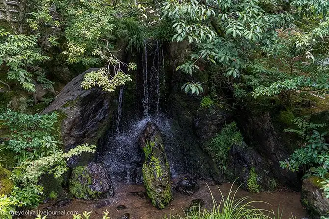 Экскурсия по буддийскому Золотому храму