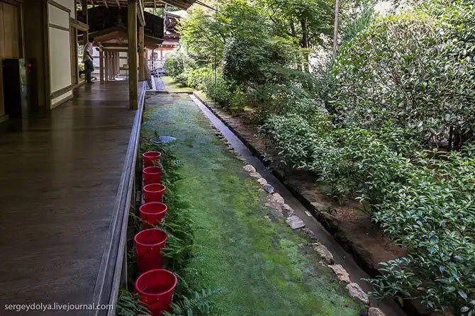 Экскурсия по буддийскому Золотому храму