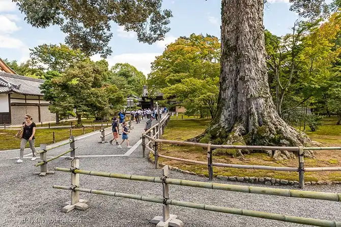 Экскурсия по буддийскому Золотому храму
