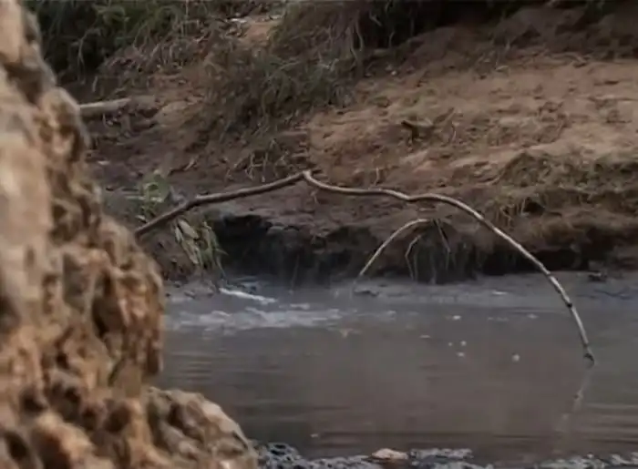 Петербургские активисты доказали попадание нечистот в Неву