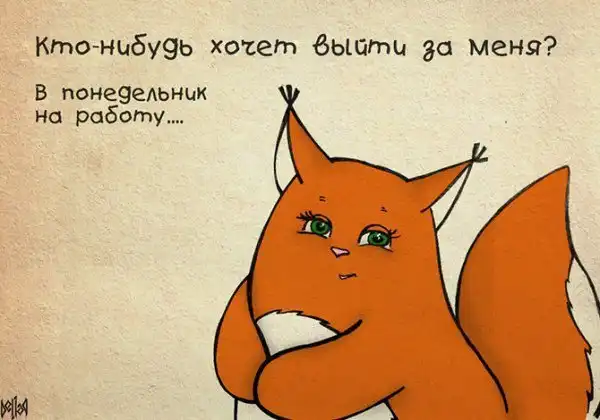 Обаятельная белка - Крошка Ши