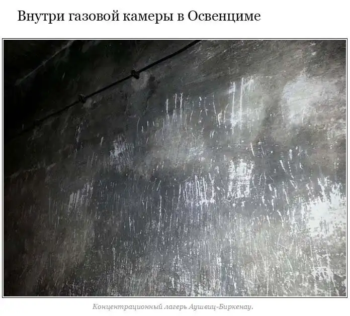 Снимки, которые заставят вас задуматься