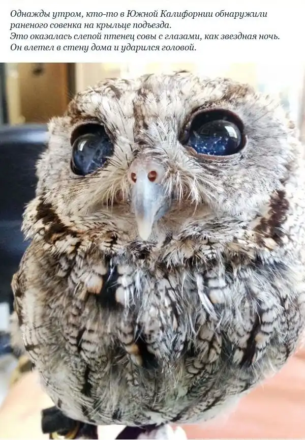 Знакомьтесь, Зевс