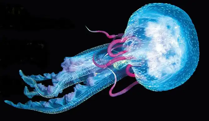 Удивительные уголки природы, которые светятся ночью