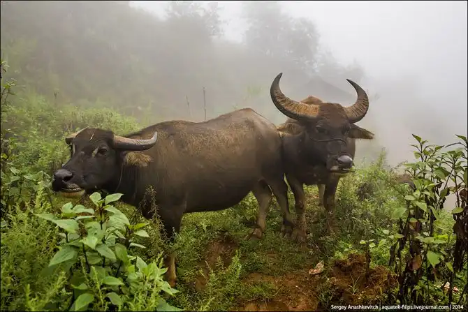 Са Па - альпийская деревня в горах Вьетнама