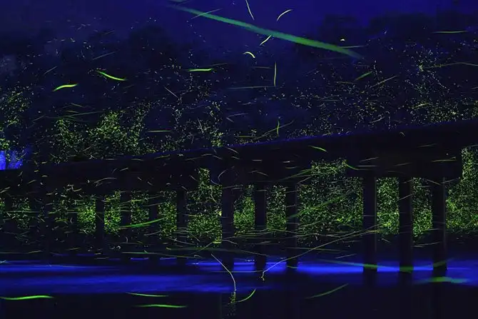 Лучшие фотографии 2014 года без фотошопа