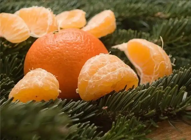 Чем заняться в новогодние каникулы