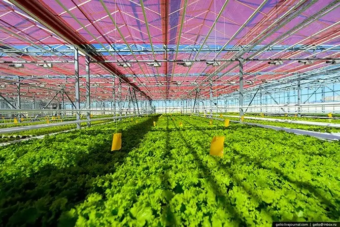 Республика Татарстан с высоты