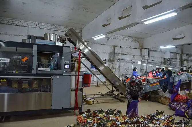 Как выращивают, собирают и обрабатывают картошку