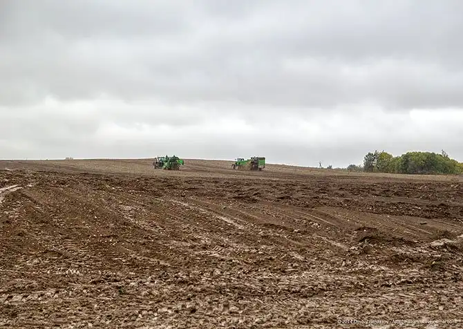 Как выращивают, собирают и обрабатывают картошку