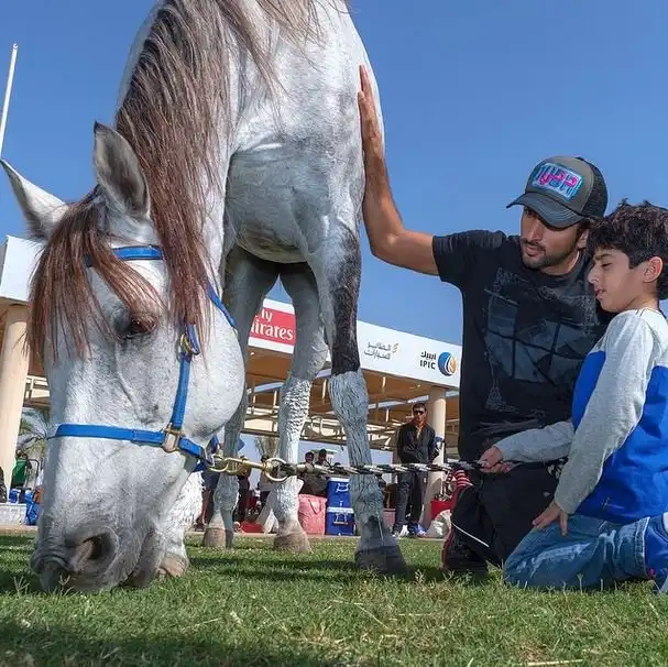 Фото из инстаграм 32-летнего принца Дубая