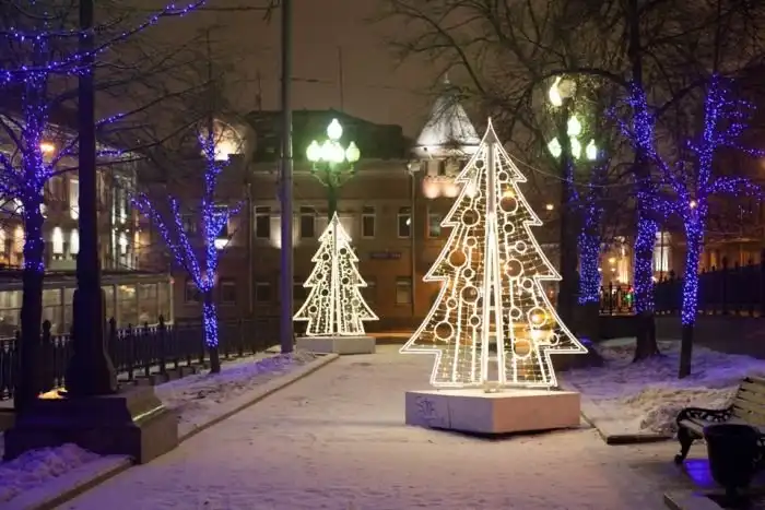 Новогодняя сказка в Москве