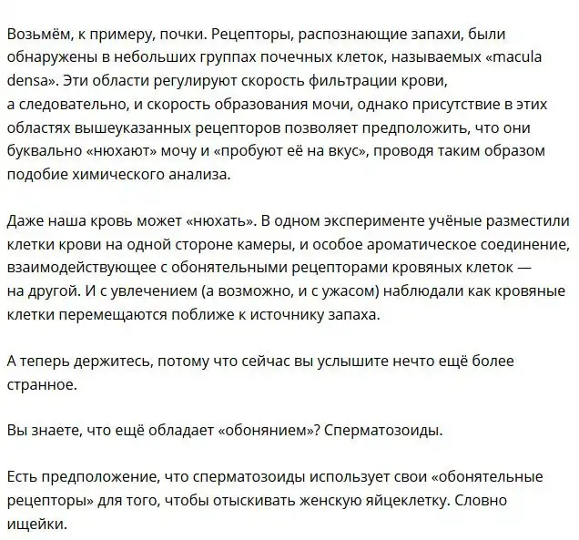 Удивительные факты о нашем организме