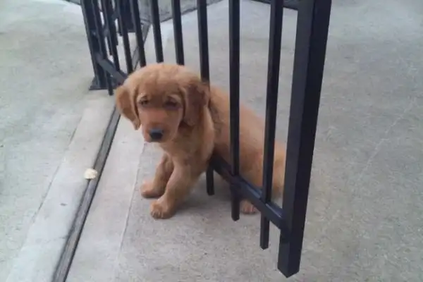 Ты все делаешь не так