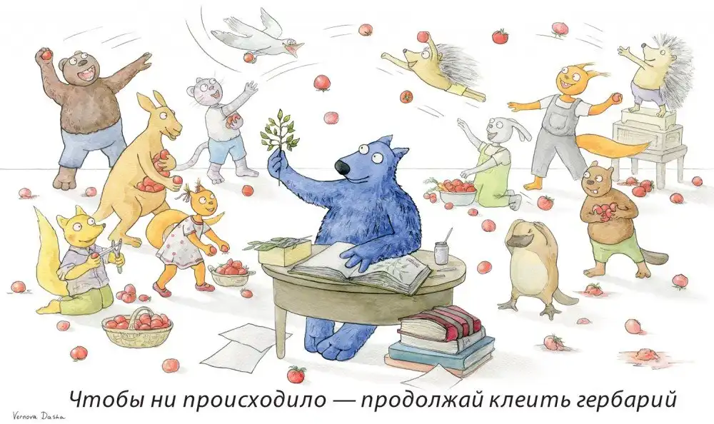 volksobca1.webp