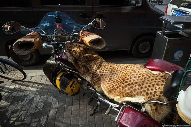 Прогулка по Шанхаю