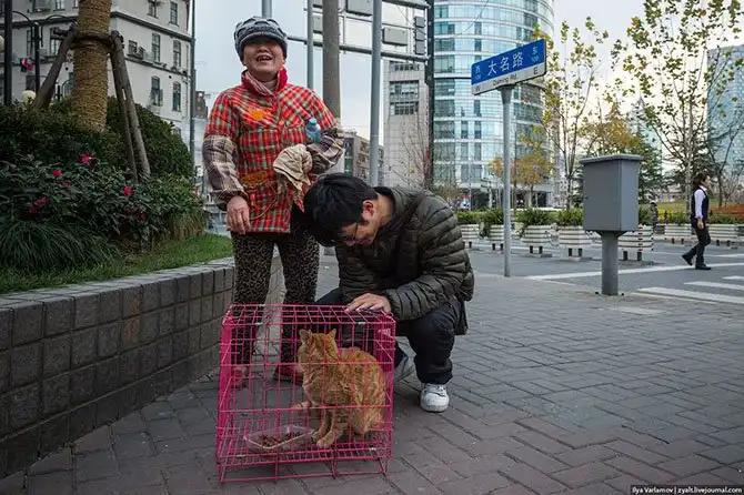 Прогулка по Шанхаю