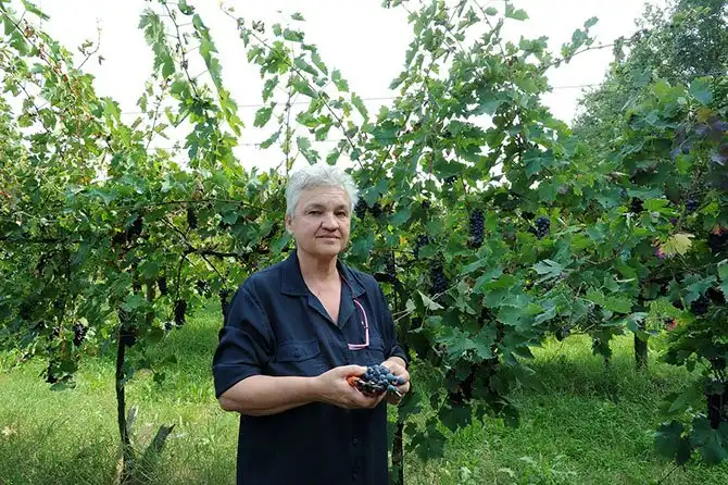 Путешествие по «идеальному городу Ренессанса» Саббьонете