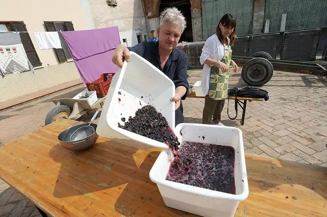 Путешествие по «идеальному городу Ренессанса» Саббьонете