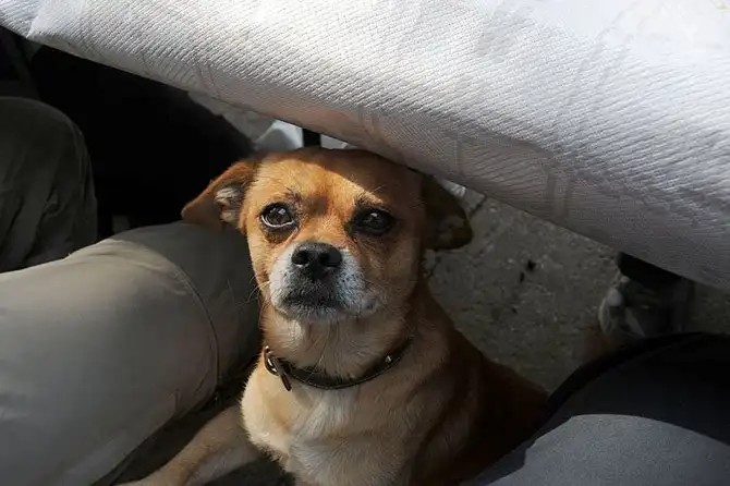 Путешествие по «идеальному городу Ренессанса» Саббьонете