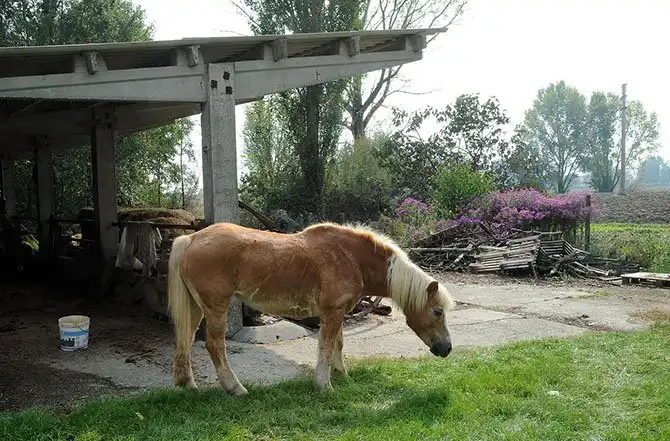 Путешествие по «идеальному городу Ренессанса» Саббьонете