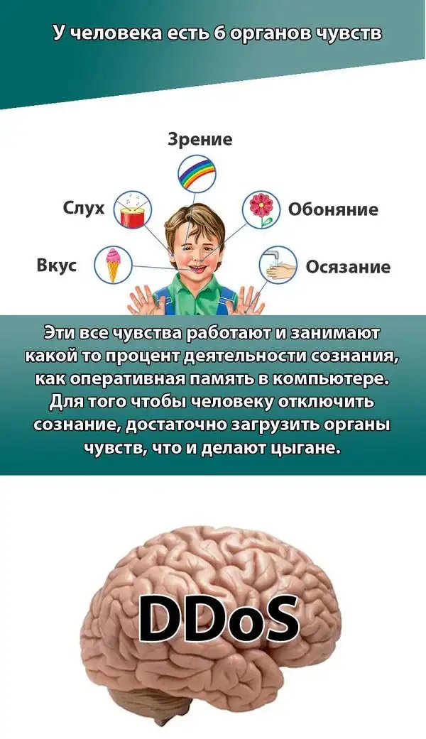 Как цыгане вводят человека в состояние транса