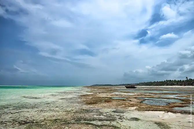 Большое Африканское Приключение