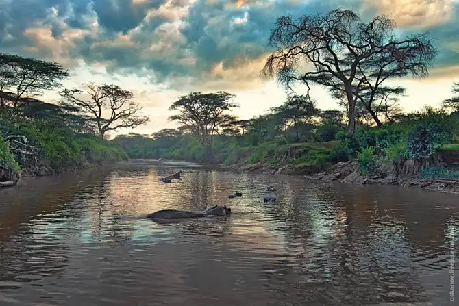 Большое Африканское Приключение