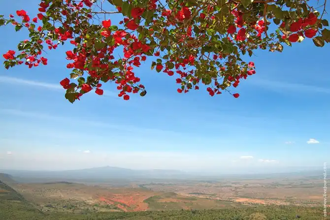 Большое Африканское Приключение