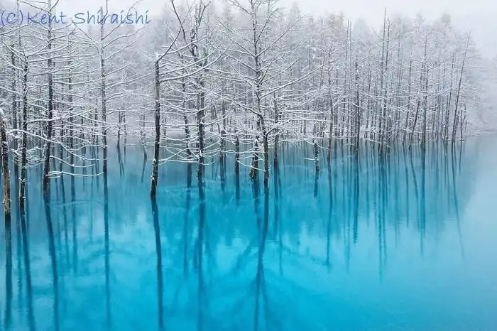 Голубой пруд города Бией на фотографиях Кента Шираиши