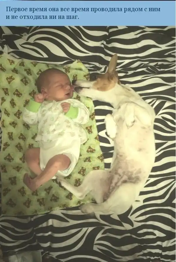 Друг, который всегда попадает в кадр