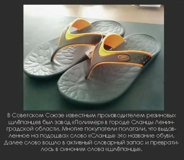 Интересные факты о разном