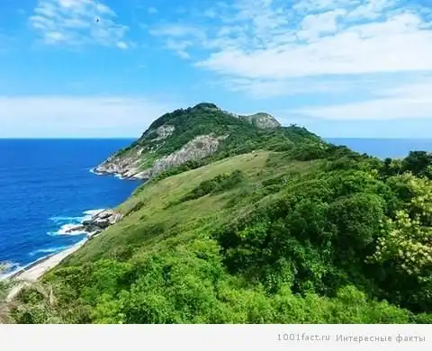 Некоторые факты о Змеином острове