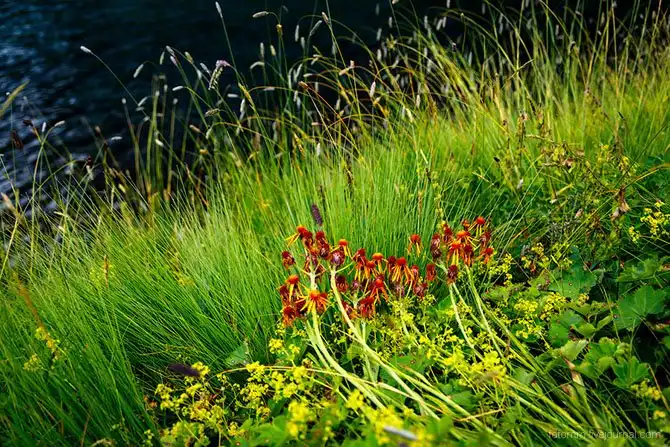 Путешествие по озеру Семицветное на Кавказе