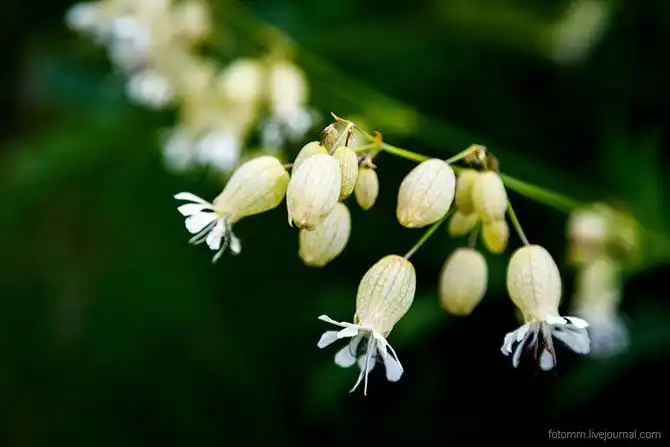 Путешествие по озеру Семицветное на Кавказе